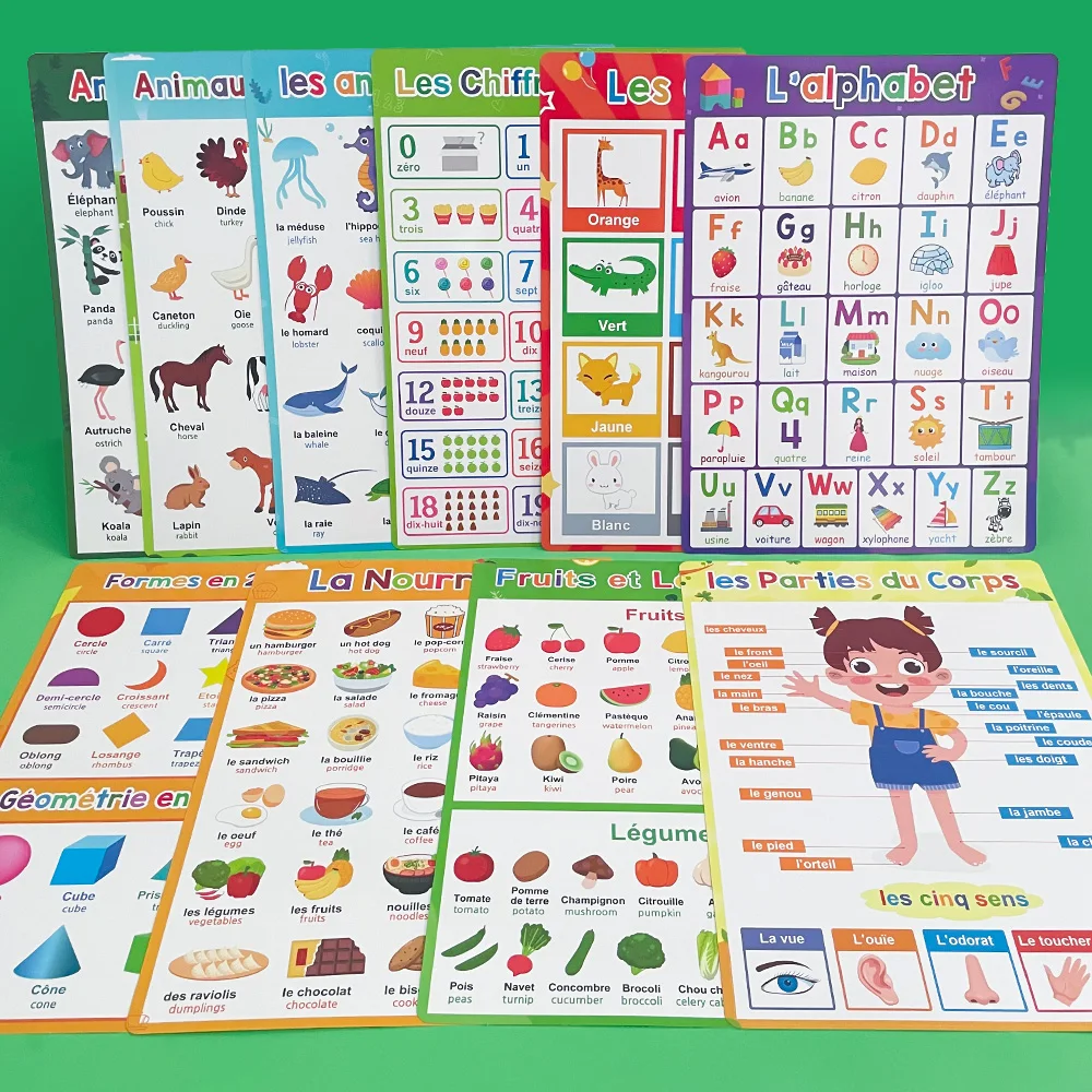 French English Bilingual Words Learning A4 Posters Charts for Kids Kindergarten Classroom Decoration Teacher Teaching Aids 10Pcs 5