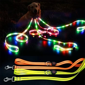 Led Light Up Dog Leash Walking Safety Glow in The Dark USB Rechargeable Adjustable for Large Medium Small Pet Lighted Dog Collar 1