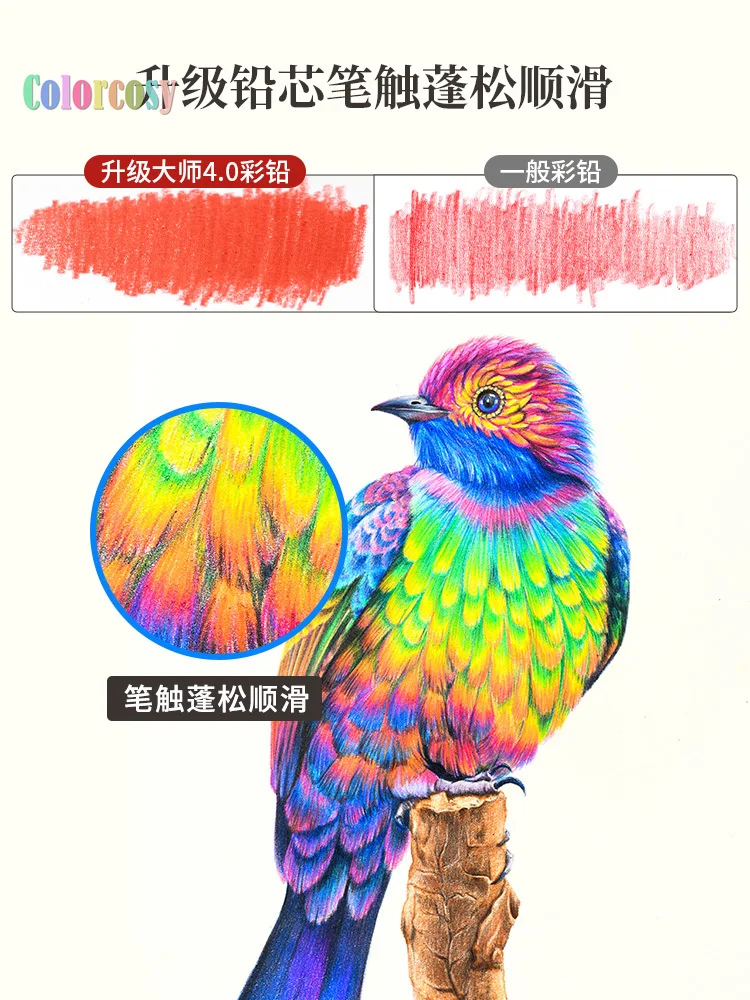 ������ �÷� ���� ������ ��Ʈ, ������ ���ҿ� �ε巯�� ����, ���� ��� ��Ʈ ��ǰ, 48, 72, 120/300 ����