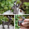 Silver Elk