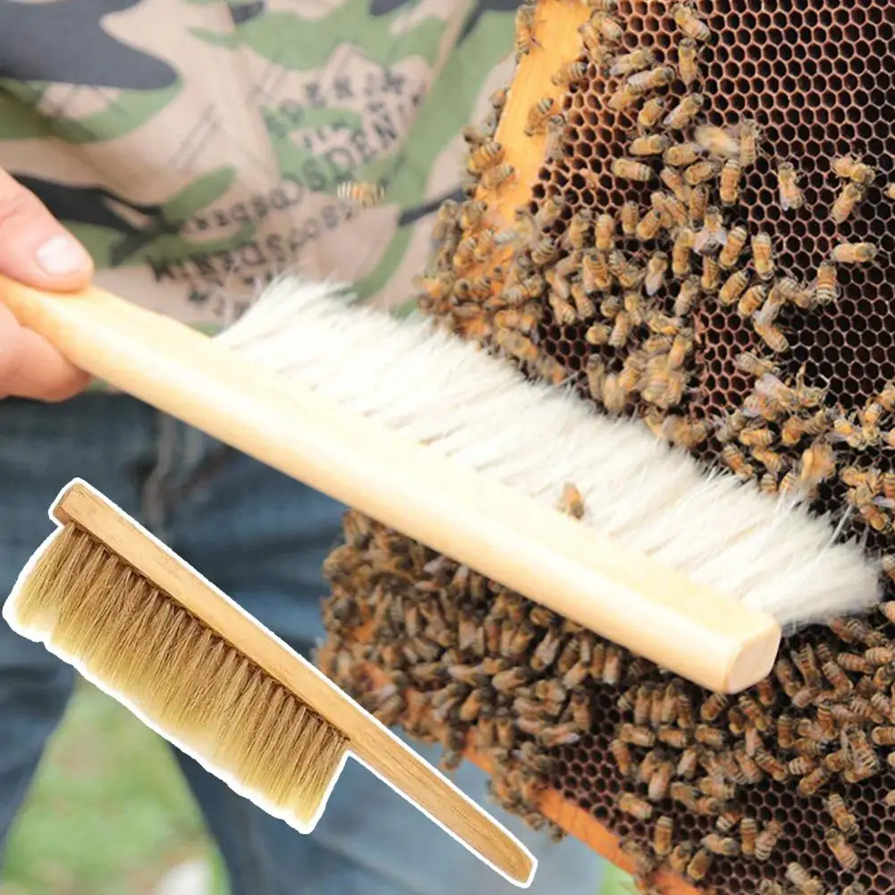 Bee-Brush-Double-Row-Bristles-Multipurpose-Wood-Handle-Brush-Bee-Hive-Tool-for-Farm.jpg Méhkefe Dupla Sor Sörték Többcélú Fa Fogantyúkefe Méhkate Kaptár Szerszám A Farmhoz - Image 3
