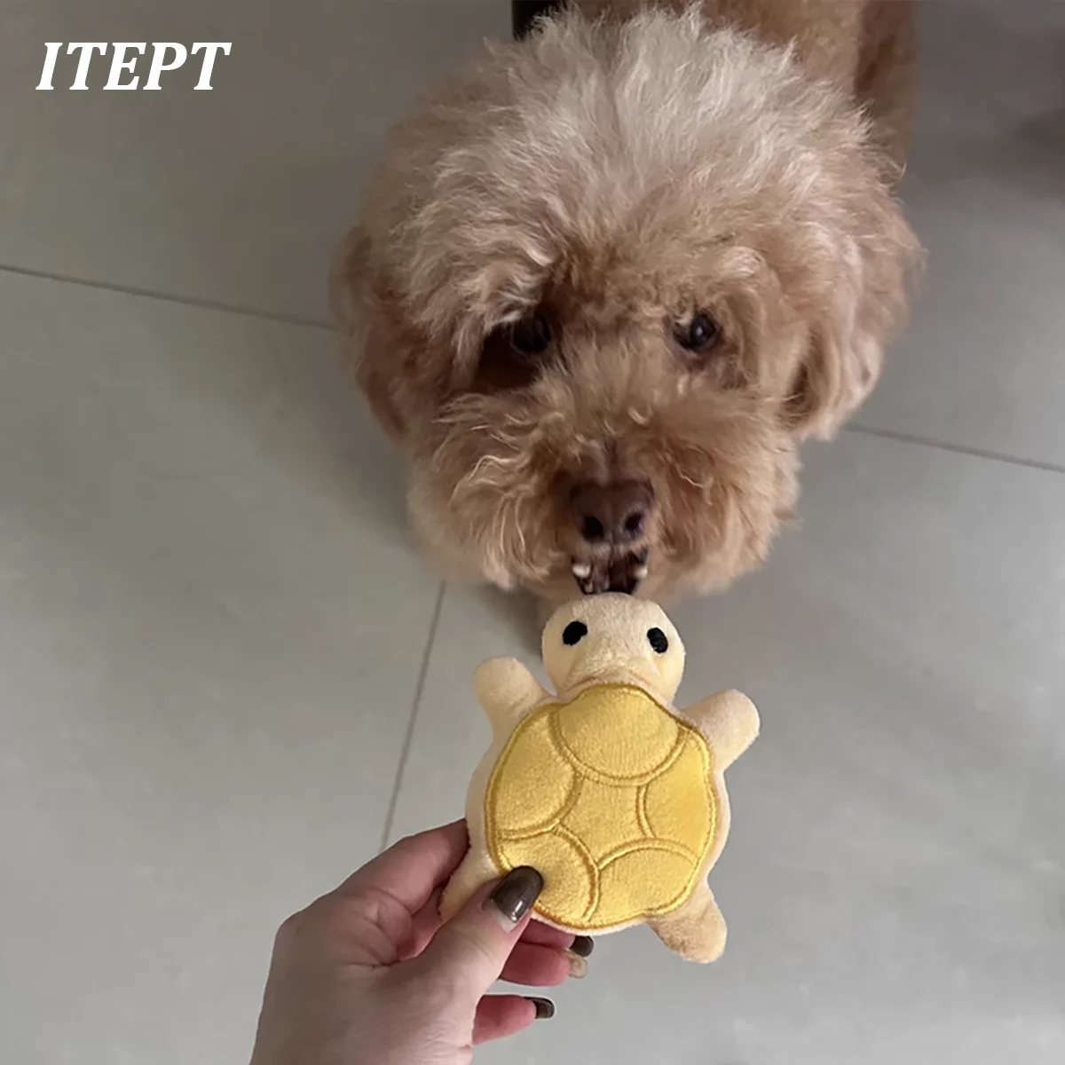 Mini cute turtle dog plush toy, squeaking dog teething sound toy, soft and safe, good for dental health, suitable for puppies 6