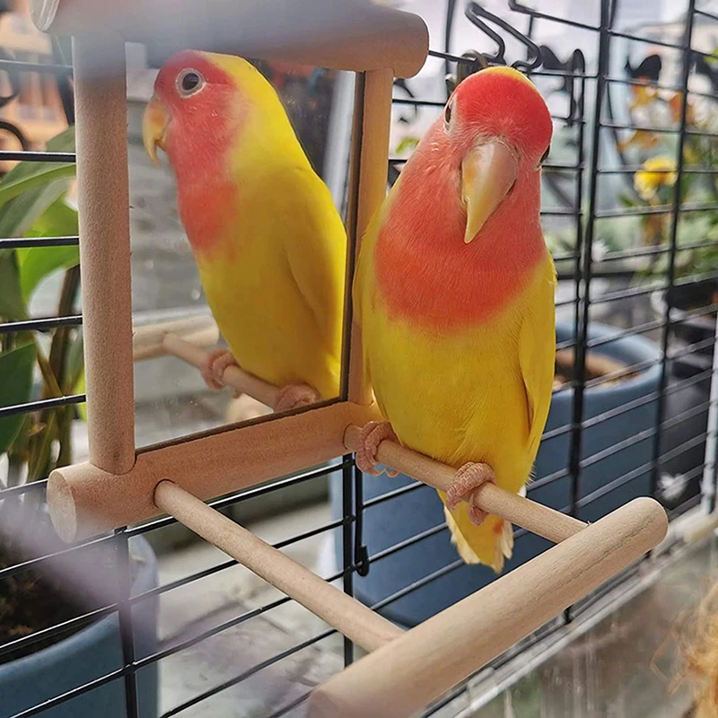 Bird Mirror Toy with Perch 3