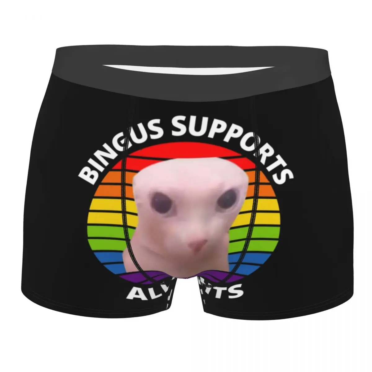 

Bingus Supports All Rights Man Underwear Sphynx Cat Boxer Shorts Panties Humor Soft Underpants for Homme S-XXL