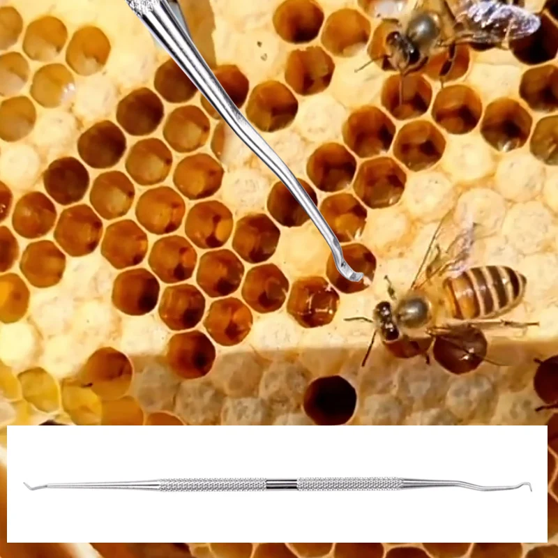 Stainless Steel Beekeeping Larvae Moving Grafting Needle Two kinds of Bee Queen Larva Transferring Move Worms Beekeeper Tool 1Pc beekeeping tools beekeeping accessories