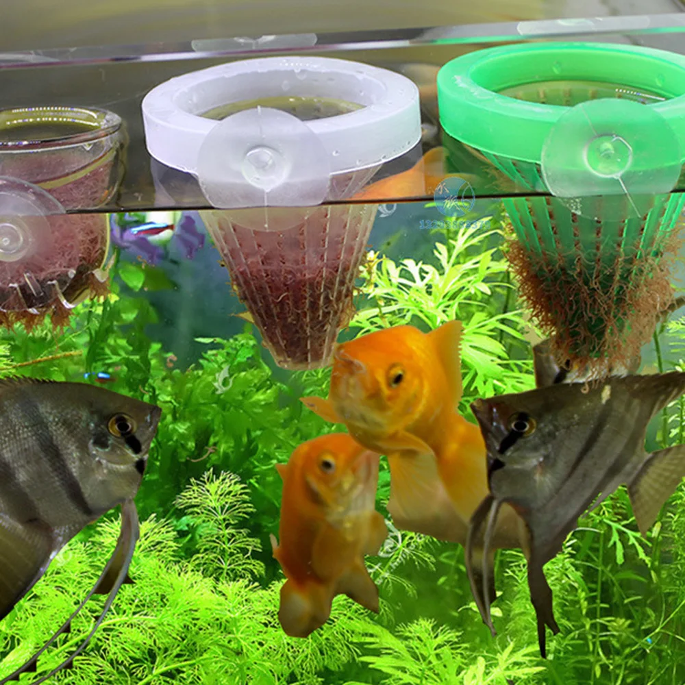 Store Home Products Summer Sale Feedback