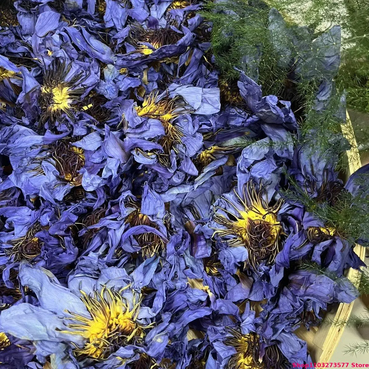 Natural Bulk Organic Blue Lotus Dried Flowers Decorating Soap Candles blue lotus flowers