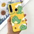 Case-c48