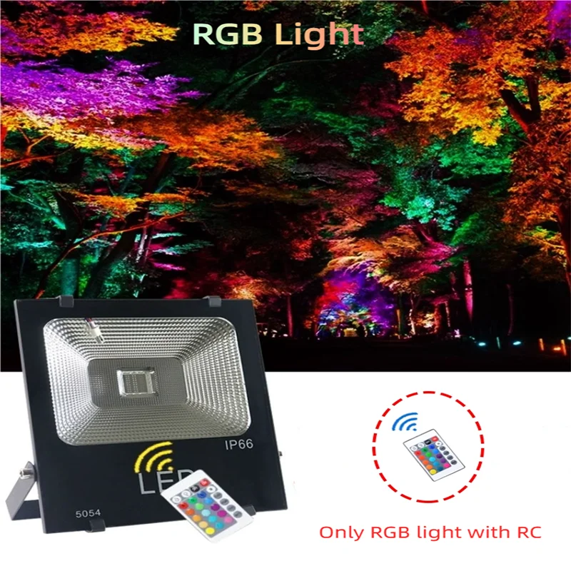 Free! スポットライトカラー 15点 Free! スポットライトカラー 15点 Free! スポットライトカラー 15点