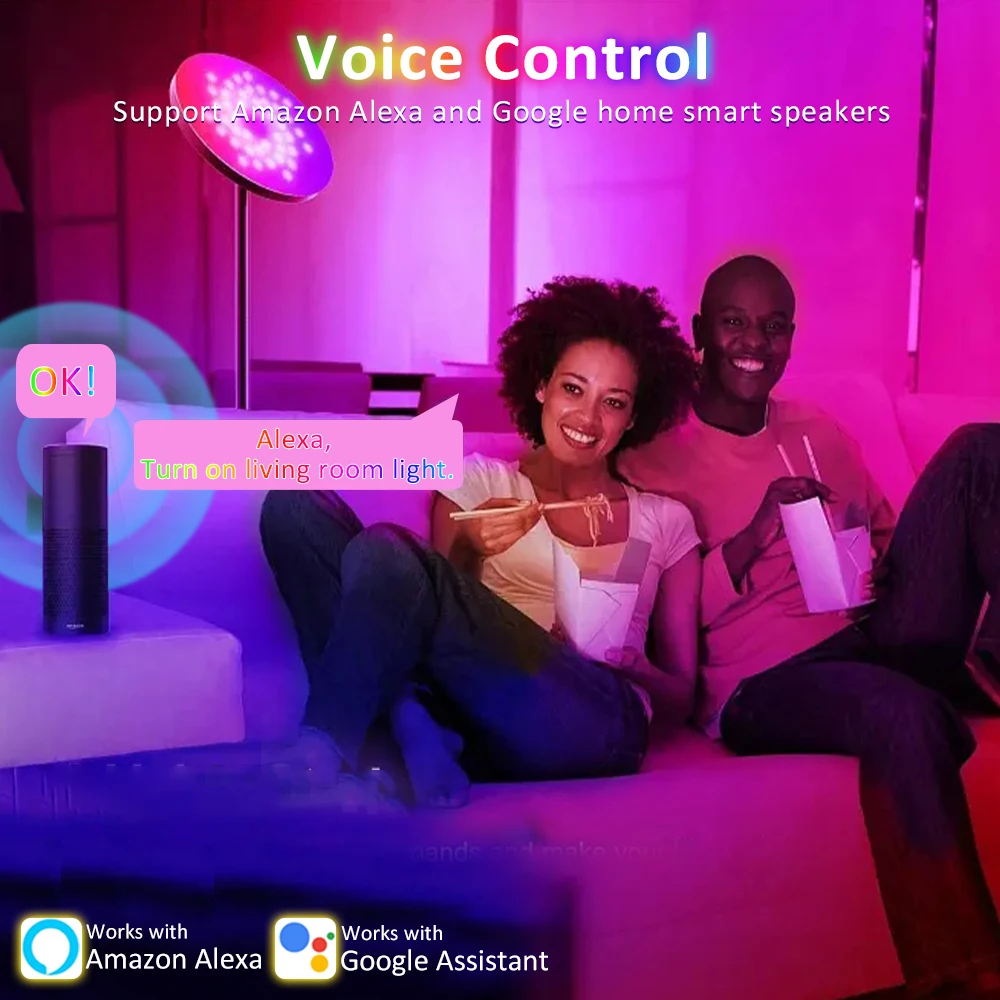 Chrome Extension Google Chrome Alexa 24V Wifi RGBIC Running Water