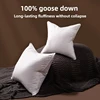 Quality Goose Down Cushion Pillow Core 35*55/70*70/60*60 /55*55/45*45/48*74/65*65cm Head Waist Pillow Goose Down Filler Cushion 1