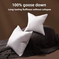 Quality Goose Down Cushion Pillow Core 35*55/70*70/60*60 /55*55/45*45/48*74/65*65cm Head Waist Pillow Goose Down Filler Cushion 1
