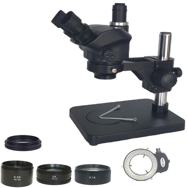 Les bases du microscope optique - Labster