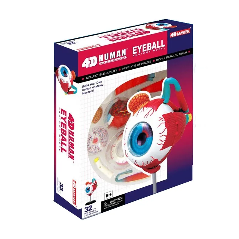 4D Human Anatomy Puzzle 4