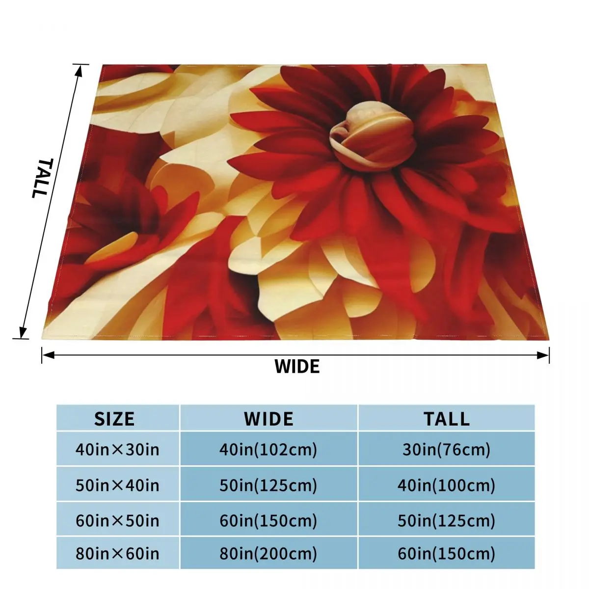 ������ �� ����� �� ���� ������ ���, ���� �̺� ���� ���, ķ�� ���