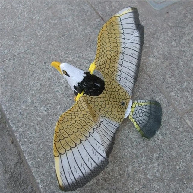 Big Electric Eagle Flying Bird LED Light Eye Glowing Sound Bird Hawk Toys Kids Educational Toys play  interactive toys 5