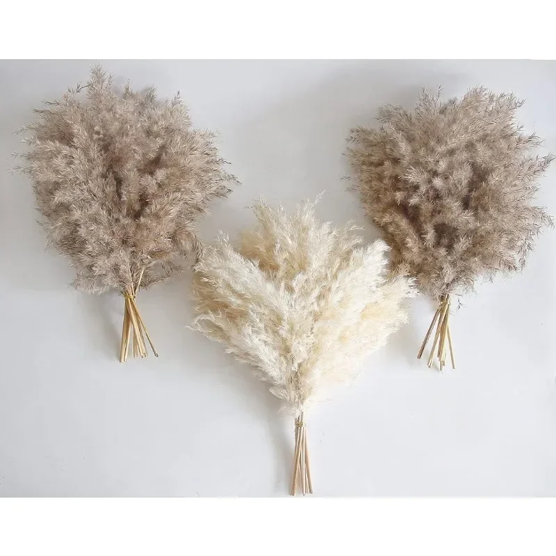 

Bohemian Decoration, Fluffy Grass, Natural Dry Pampas Grass Small, Used for Bohemian Room Decoration, Coffee Table Decoration