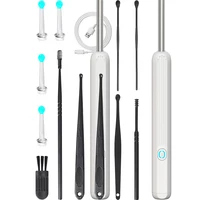 Smart Visual Ear Cleaner Ear Sticks Otoscope USB C Charging Endoscope Wax Removal Tool Earpick MIni Camera Health Care Set 1