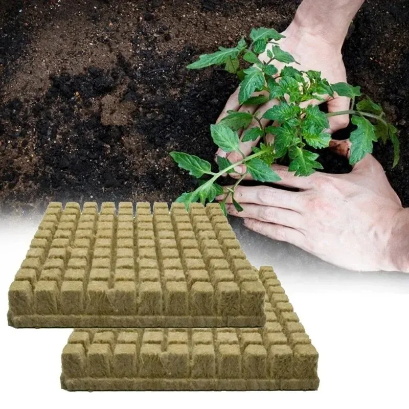 Hydroponic Grow Media Cubes 50pcs 25x25x25mm Plant Cubes Soilless Substrate Seeded Rock Wool Plug Seedling Block