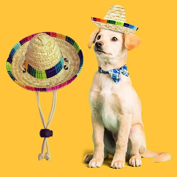 Mexican Dog Straw Hat Mini Dog Hat Handcrafted From Natural Fabrics And Straw Durable Pet Sun Hats Suitable For Small Pets/Puppy 5