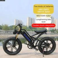 Vélo Électrique Rétro de 20 Pouces, 750W, 48V, avec Batterie Parfaite, pour Homme et Femme 4