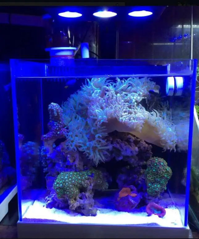 Spectra Nano 029 Aquarium Light 30W Saltwater Lighting with Touch Control for Coral Reef Fish Tank aquarium light,aquarium lamp
