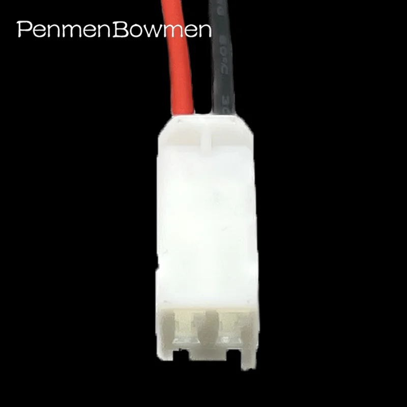 2 Pin Reading Light Electric Tailgate Plug Wiring Harness