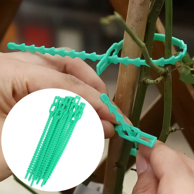 Adjustable Plastic Plant Cable Ties Reusable Self-locking Ties Garden Plant Vine Supports Cable Ties Stem Tomato Clip Fastener 4