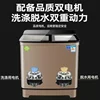 Household large capacity semi-automatic washing machine double cylinder double barrel stainless steel 2