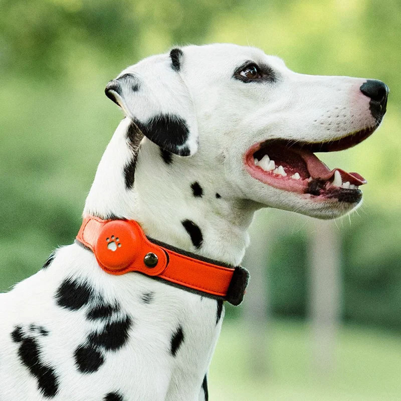 IP67 Waterproof Tracker Collar For Dogs Location Pet Tracking Smart Collar Waterproof Only Works With For Apple Find My Brown