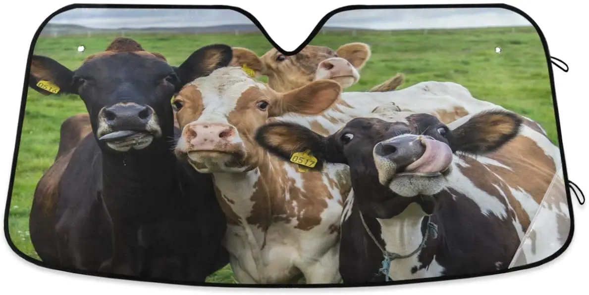 

Oarencol Funny Cows Car Windshield Sun Shade Cute Four Animals Foldable UV Ray Sun Visor Protector Sunshade to Keep Your Vehicle