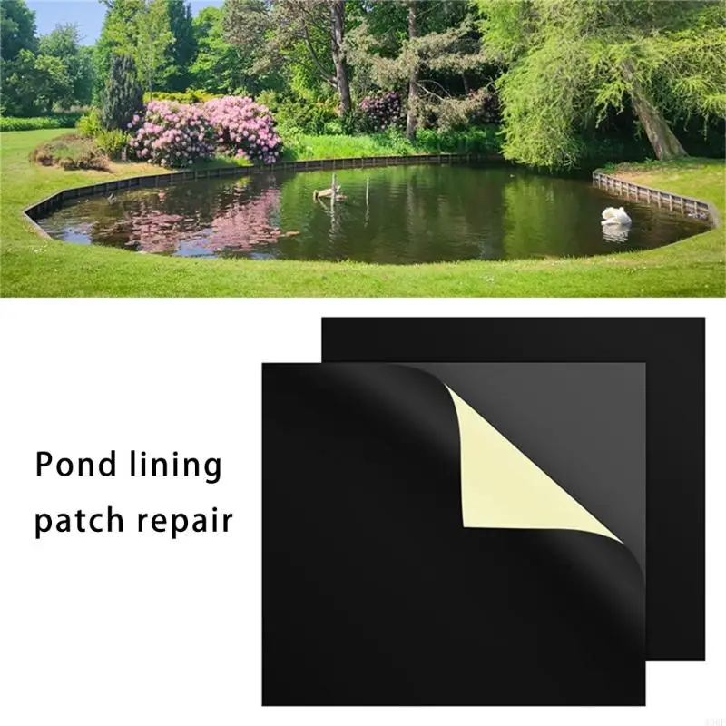 Pond