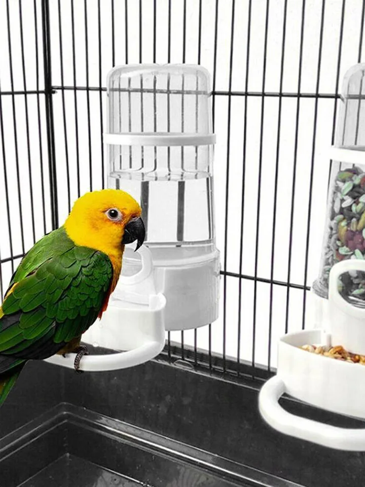 Automatic Multifunctional Bird Feeder and Drinker