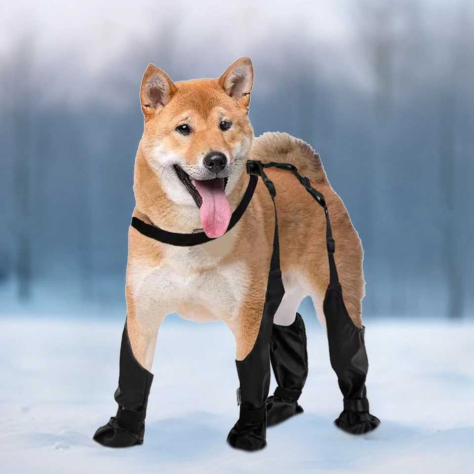 Waterproof Dog Boot Leggings for Active Dogs