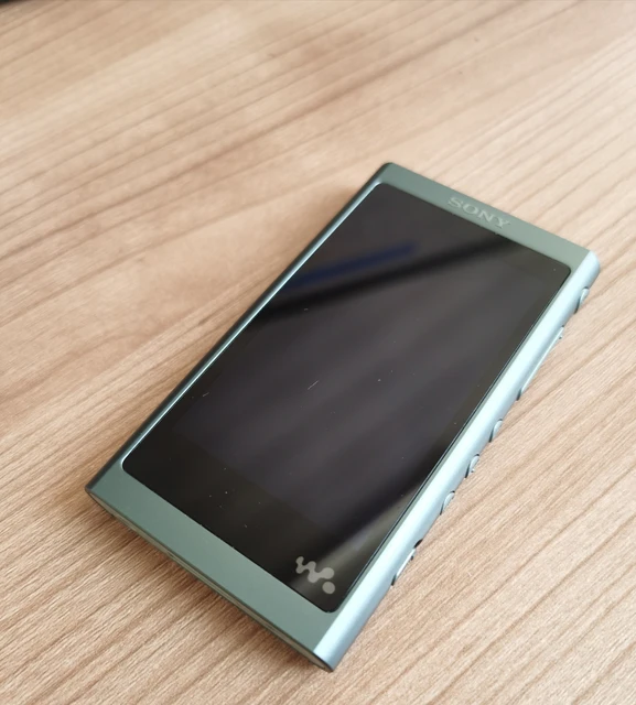 New Sony Nw-a55 16gb High-resolution Digital Music Player Walkman