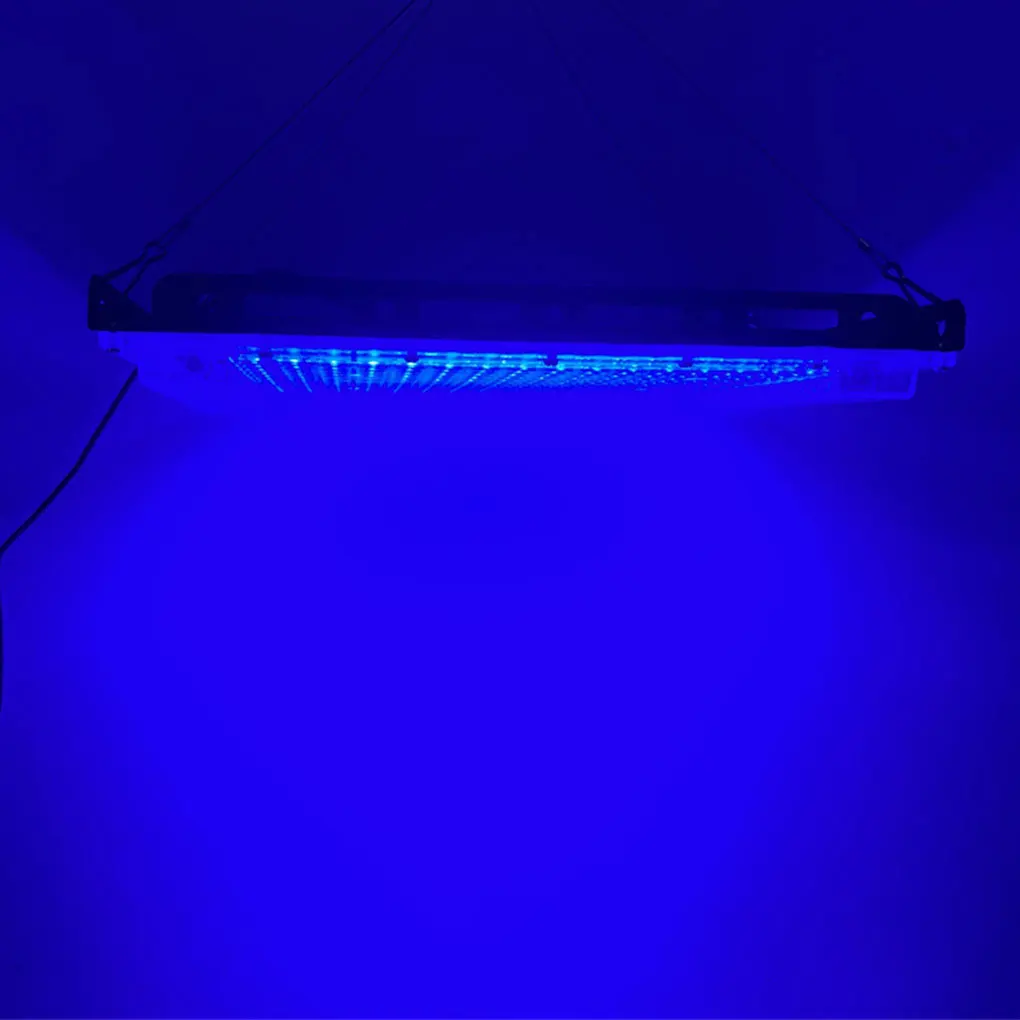 아름다운 블랙 라이트 욕실 조명, 피부 변형