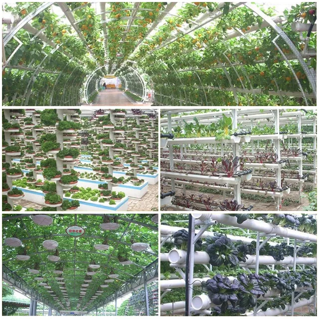 Control Gyökér Átlátszó Virágcserép Tálcákkal Műanyag Virág Edény Orchidea Ültetvénye Lélegző Növényi Növekedési Konténerkert Szerszámok - Image 6