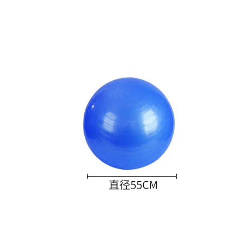 55cm Yoga Ball Exercise Gymnastic Fitness Pilates Balance Gym Indoor Training Core Yoga Ball Gymnastics Ball