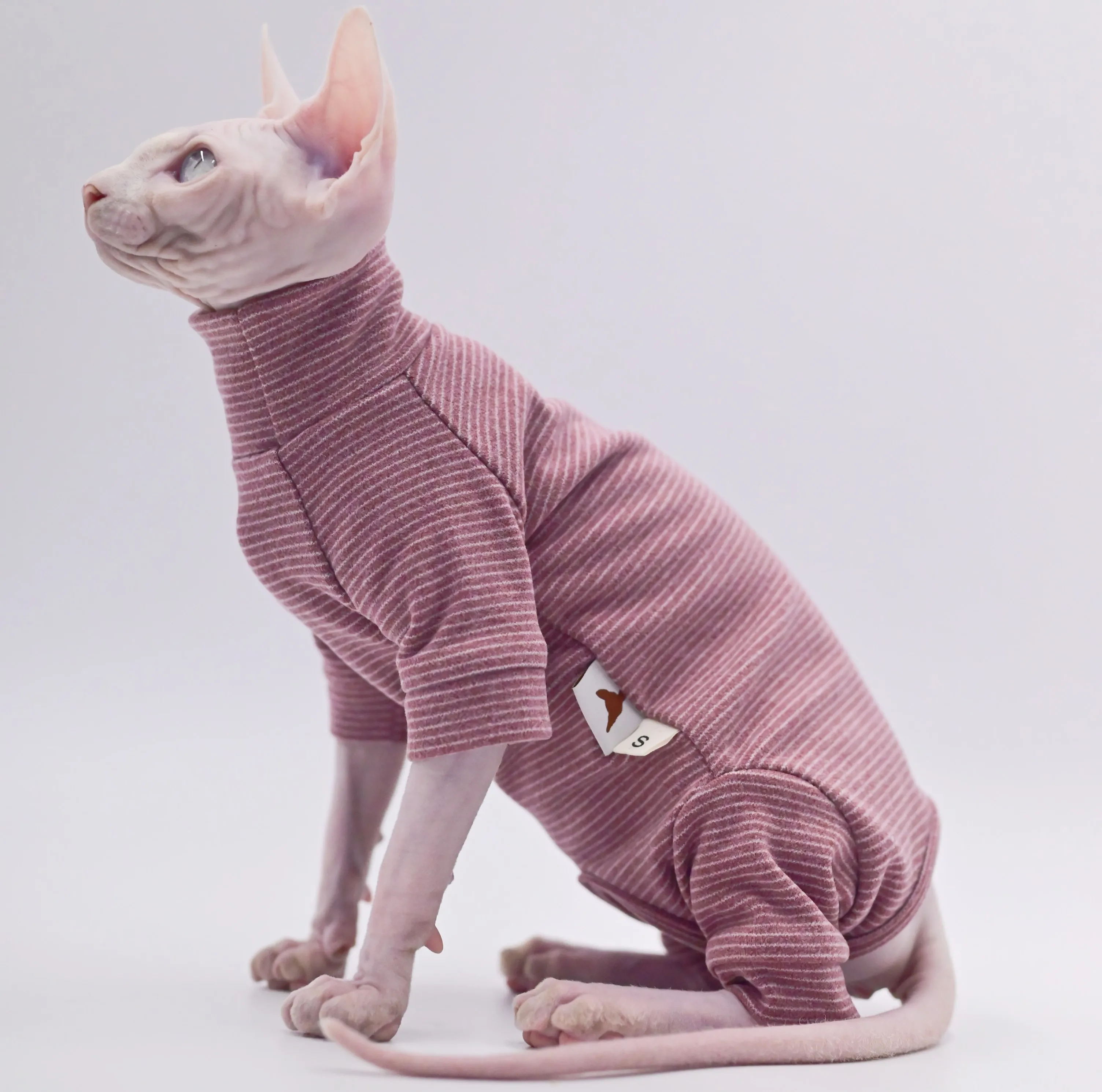 Roupas de gato sem pêlos com capuz de quatro pernas quente e macio para  gatos Sphynx para outono e inverno para Devon Rex, Cornish - AliExpress, image size:3008x2981