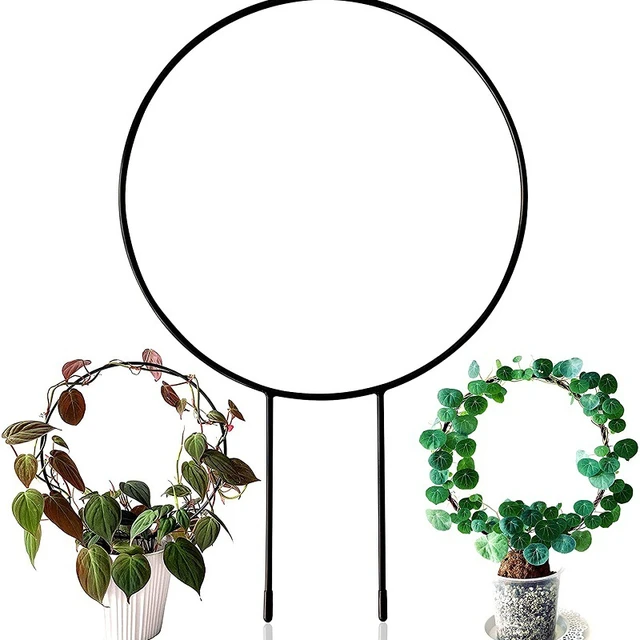 1Pc Kerek Szőlőmászó Állvány Vaskerti Növényi Támogató Tét Szív Alakú Virágnövény Rácsos Kerti Dekoráció - Image 2
