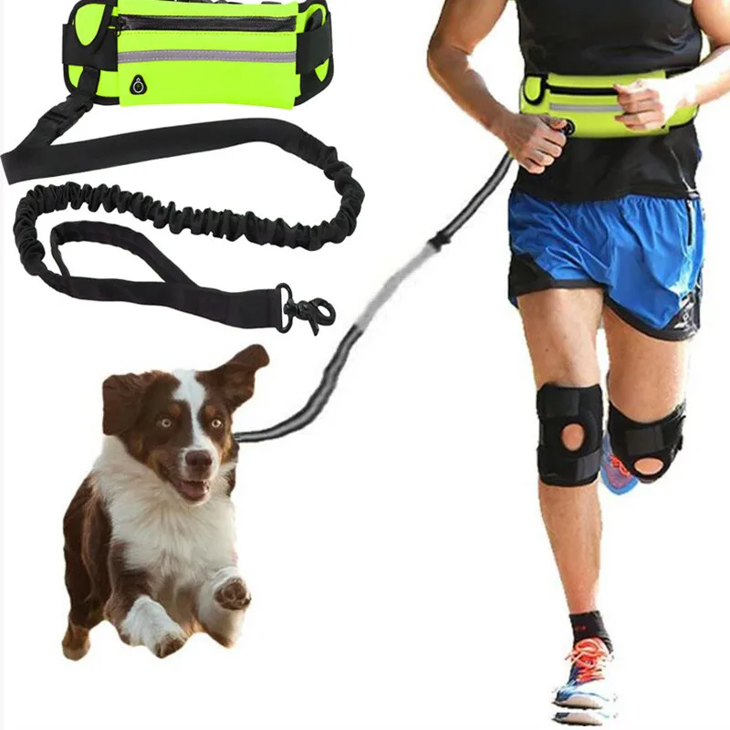 

Running Dog Leash Traction Rope Nylon Free Hands Dog Leash with Waist Bag Retractable Elastic Belt Waist Leashes Dog Accessories