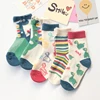 Spring and Summer Boys' Mesh Socks Summer Little Boys' Children's Cartoon Dinosaur Cotton Socks 1-12 Years Old 1