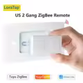 2 Gang US Remote
