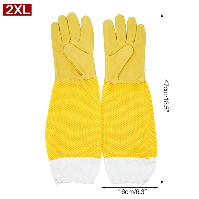 XXL
