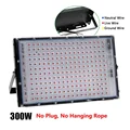 300W No Plug
