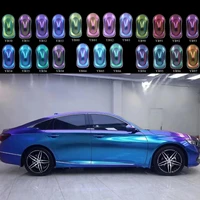 Chameleon Pigments Acrylic Powder Coating Dye Magic Discolored Pearlescent for Crafts Car Automotive Painting Decoration Arts 1