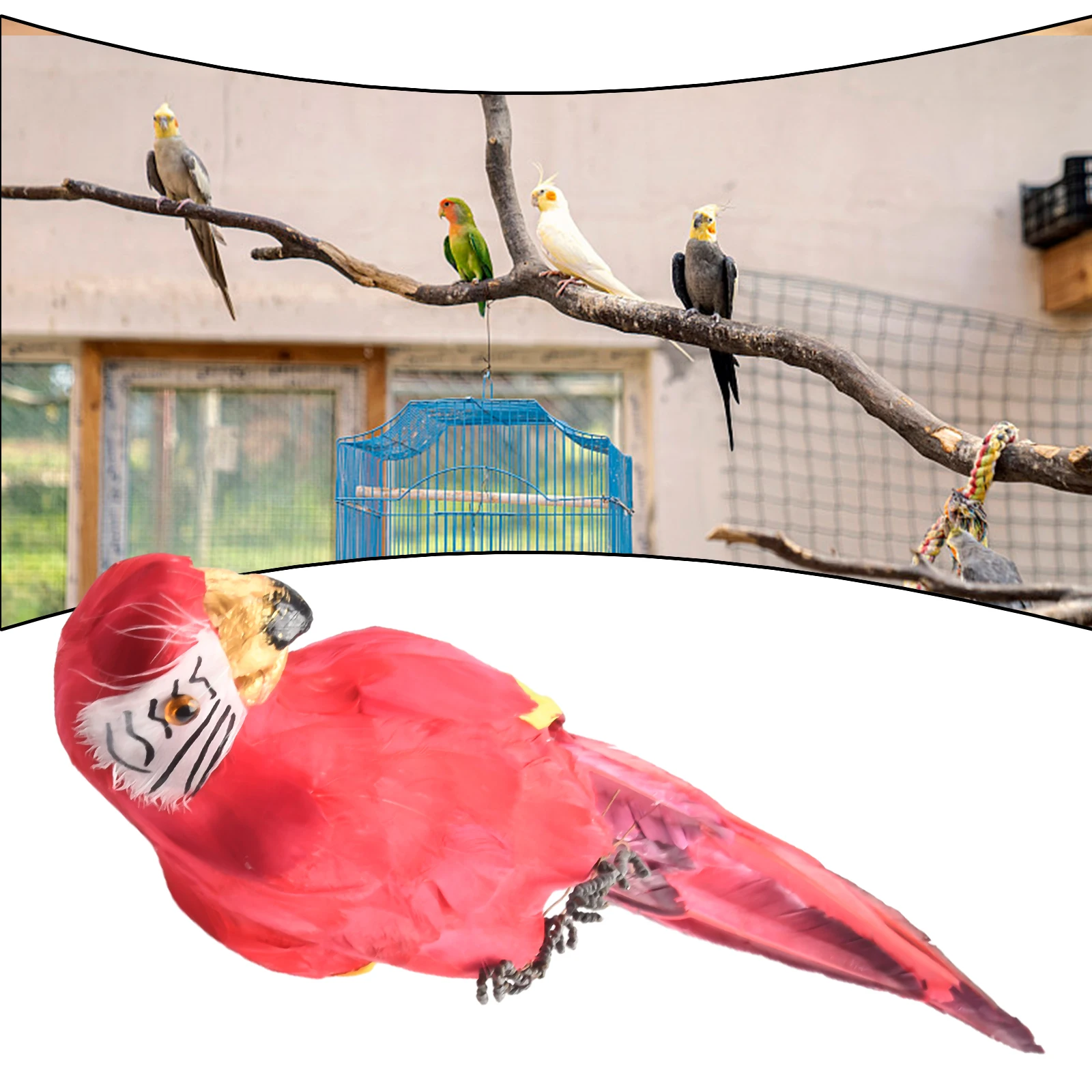

Craft Exquisite Artificial Parrot Handcraft Home Realistic Decor Garden Photography Shop window Simulation Yard