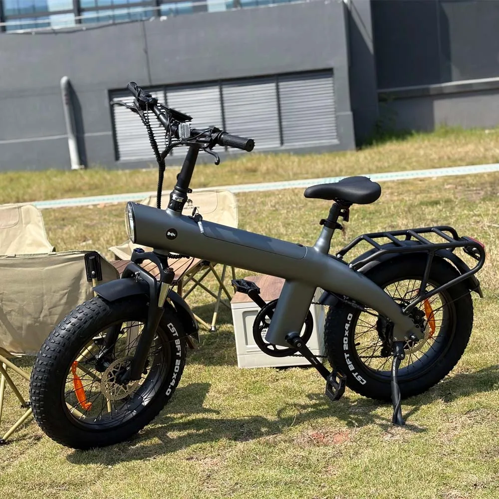 HX Q3 2000W Adult Electric Bicycle 48V 20A E Bike Removable Battery Foldable Ebike 20 inch fat tire Electric Bike