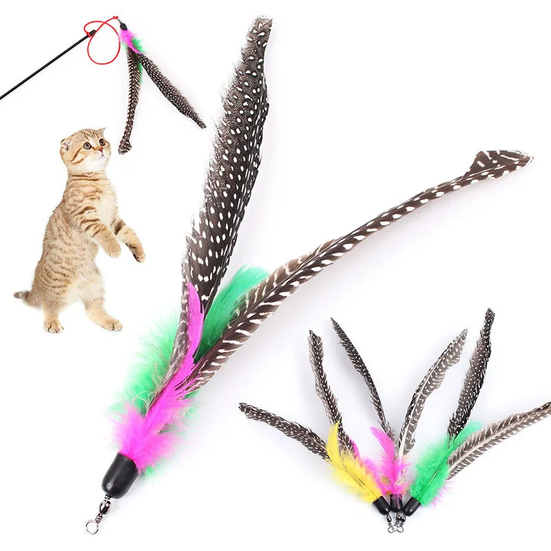 https://ae01.alicdn.com/kf/S25592d2af4f64fc0acd850cced83792cR/Pet-Cat-Toy-Large-Pearl-Feather-Bell-Fishing-Rod-Replacement-Head-Funny-Cat-Stick-Interactive-Toy.jpg