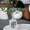 Japanese Simple Glass Vase Transparent Hydroponics Vase Zen Modern Home Decor Office Desktop Decoration Floral Flower Insert 4